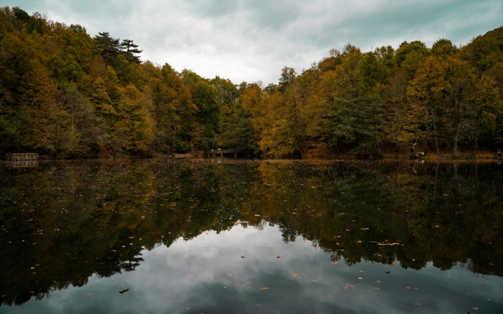 pexels-photo-34001887-34001887 Capture the tranquility of a reflective lake amidst vibrant autumn foliage in Bolu, Türkiye.